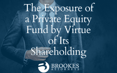 The Exposure of a Private Equity Fund by Virtue of Its Shareholding
